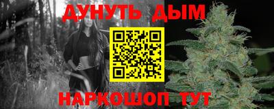 крисы Гагарин