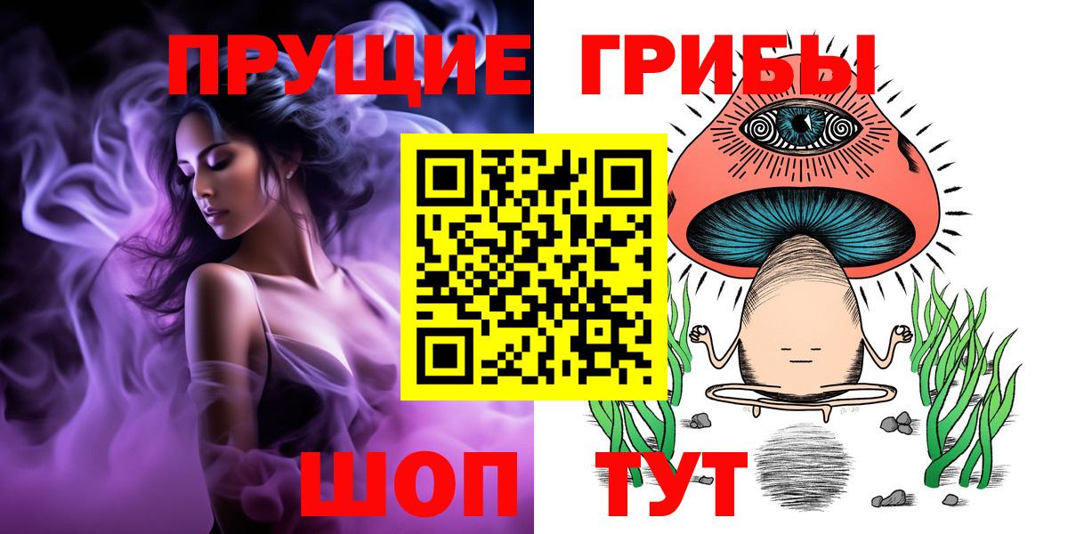 Псилоцибиновые грибы Psilocybine cubensis  Вход с VPN  Нижний Тагил 