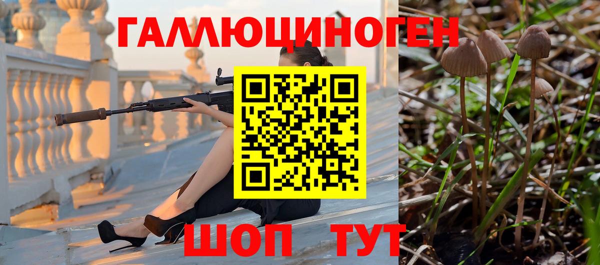 Псилоцибиновые грибы Cubensis Нижний Тагил